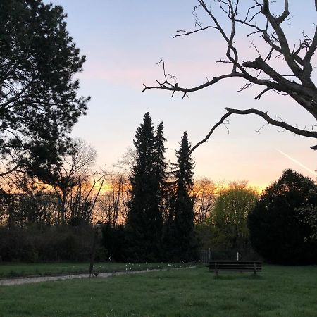 Ferienwohnung Apartment Doppelzimmer In Der Villa Naturpark Rheinblick, Ruhig, Aussicht, Pool 科布倫茨 外观 照片