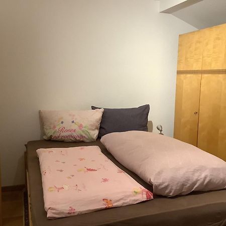 Ferienwohnung Apartment Doppelzimmer In Der Villa Naturpark Rheinblick, Ruhig, Aussicht, Pool 科布倫茨 外观 照片