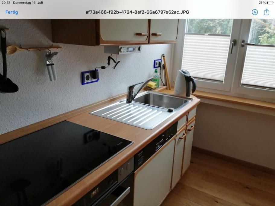 Ferienwohnung Apartment Doppelzimmer In Der Villa Naturpark Rheinblick, Ruhig, Aussicht, Pool 科布倫茨 外观 照片