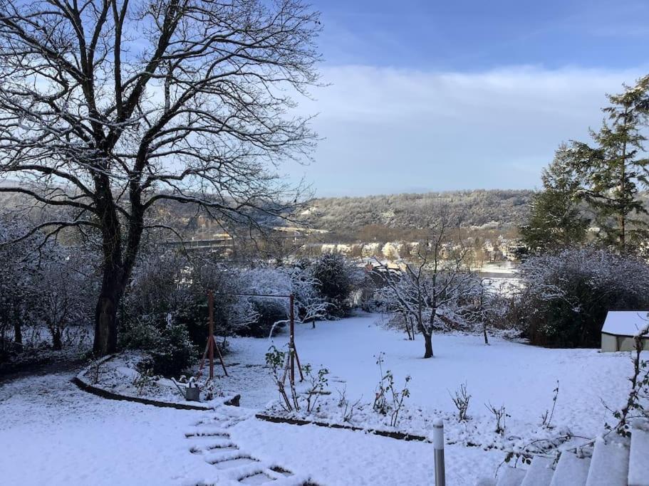 Ferienwohnung Apartment Doppelzimmer In Der Villa Naturpark Rheinblick, Ruhig, Aussicht, Pool 科布倫茨 外观 照片