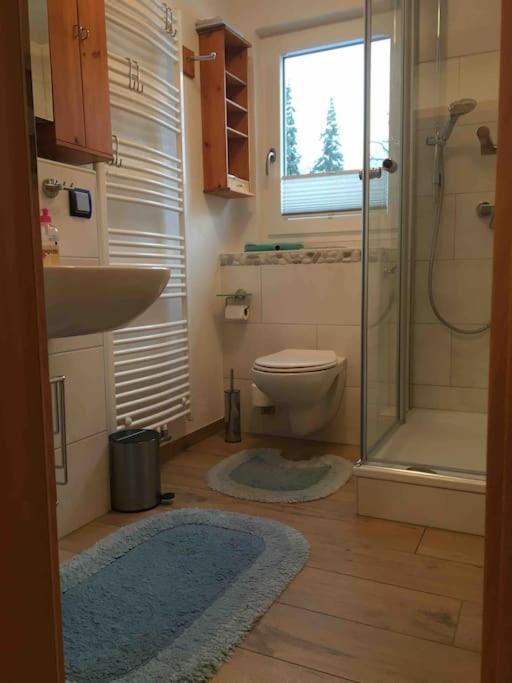 Ferienwohnung Apartment Doppelzimmer In Der Villa Naturpark Rheinblick, Ruhig, Aussicht, Pool 科布倫茨 外观 照片