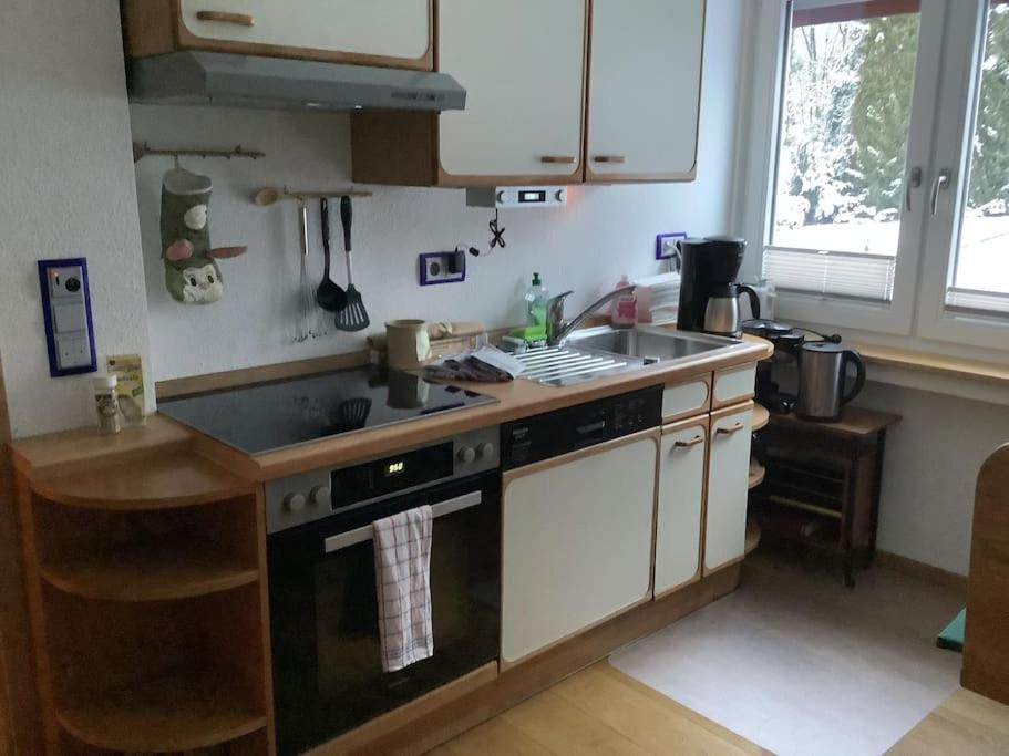Ferienwohnung Apartment Doppelzimmer In Der Villa Naturpark Rheinblick, Ruhig, Aussicht, Pool 科布倫茨 外观 照片