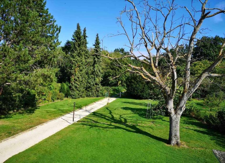 Ferienwohnung Apartment Doppelzimmer In Der Villa Naturpark Rheinblick, Ruhig, Aussicht, Pool 科布倫茨 外观 照片