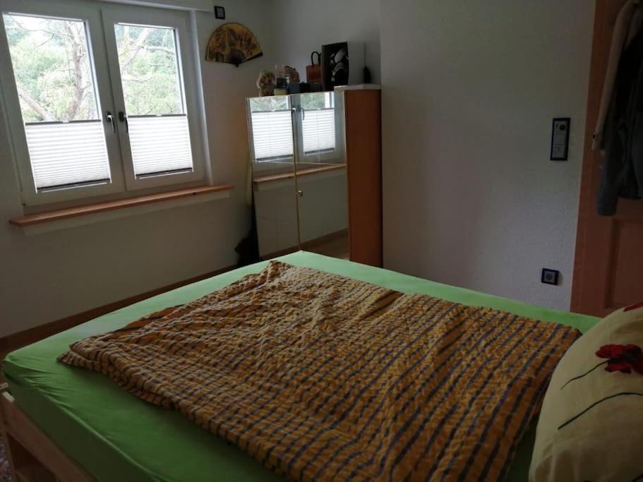 Ferienwohnung Apartment Doppelzimmer In Der Villa Naturpark Rheinblick, Ruhig, Aussicht, Pool 科布倫茨 外观 照片
