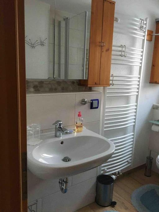 Ferienwohnung Apartment Doppelzimmer In Der Villa Naturpark Rheinblick, Ruhig, Aussicht, Pool 科布倫茨 外观 照片