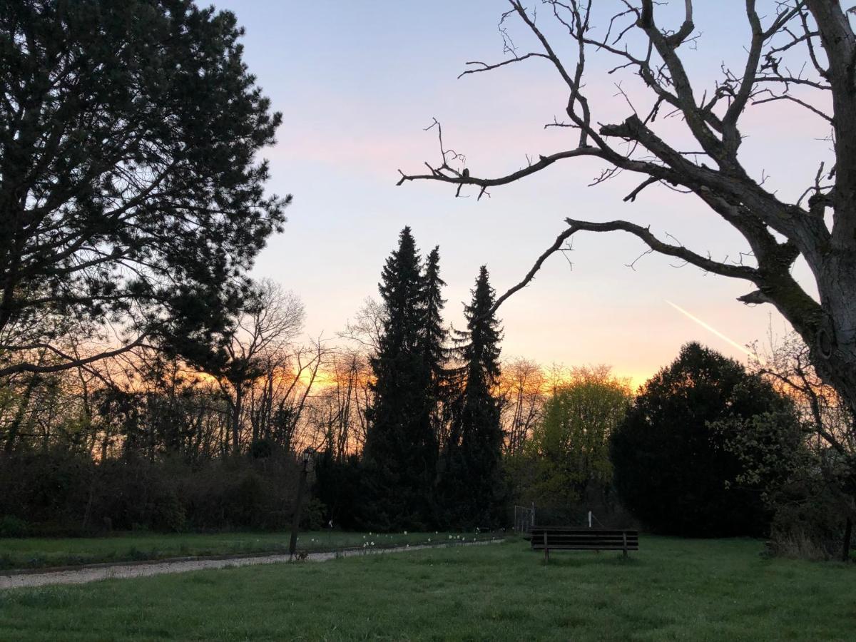 Ferienwohnung Apartment Doppelzimmer In Der Villa Naturpark Rheinblick, Ruhig, Aussicht, Pool 科布倫茨 外观 照片