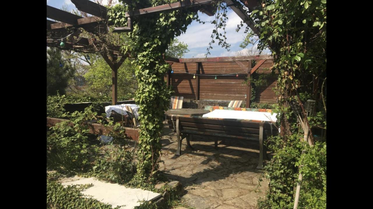 Ferienwohnung Apartment Doppelzimmer In Der Villa Naturpark Rheinblick, Ruhig, Aussicht, Pool 科布倫茨 外观 照片